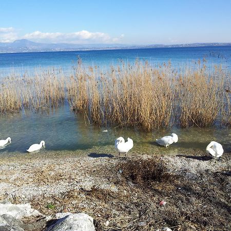 Debora Maison B&B Colombare Di Sirmione Exteriör bild