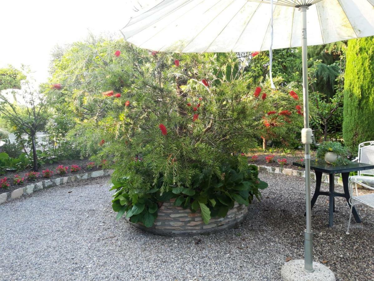 Debora Maison B&B Colombare Di Sirmione Exteriör bild
